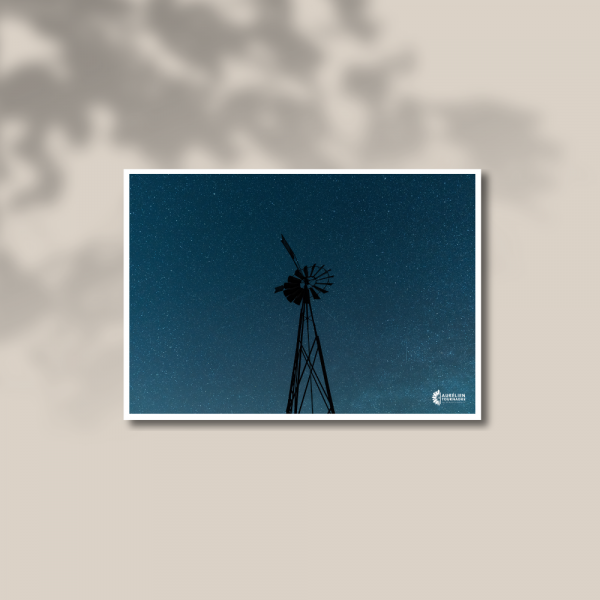 L'Ombre du Héron L'Ombre du Héron | Tirage d’Art - Fine Art