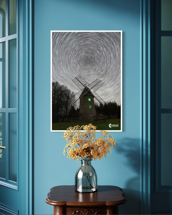 Curieux habitant | Tirage d’Art – Fine Art