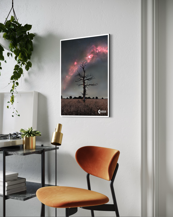 Les Racines du Ciel