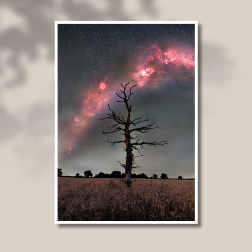 Les Racines du Ciel Tirage photo d'art d'une voie lactée au dessus d'un arbre mort à Sourniac « Les Racines du Ciel » imprimé sur papier baryté.