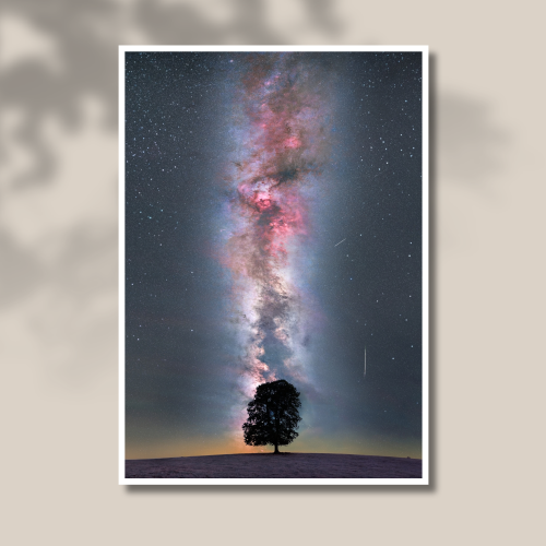 Tirage photo d'art d'un arbre à Saint-Martin-Valmeroux « Existence » imprimé sur papier baryté.